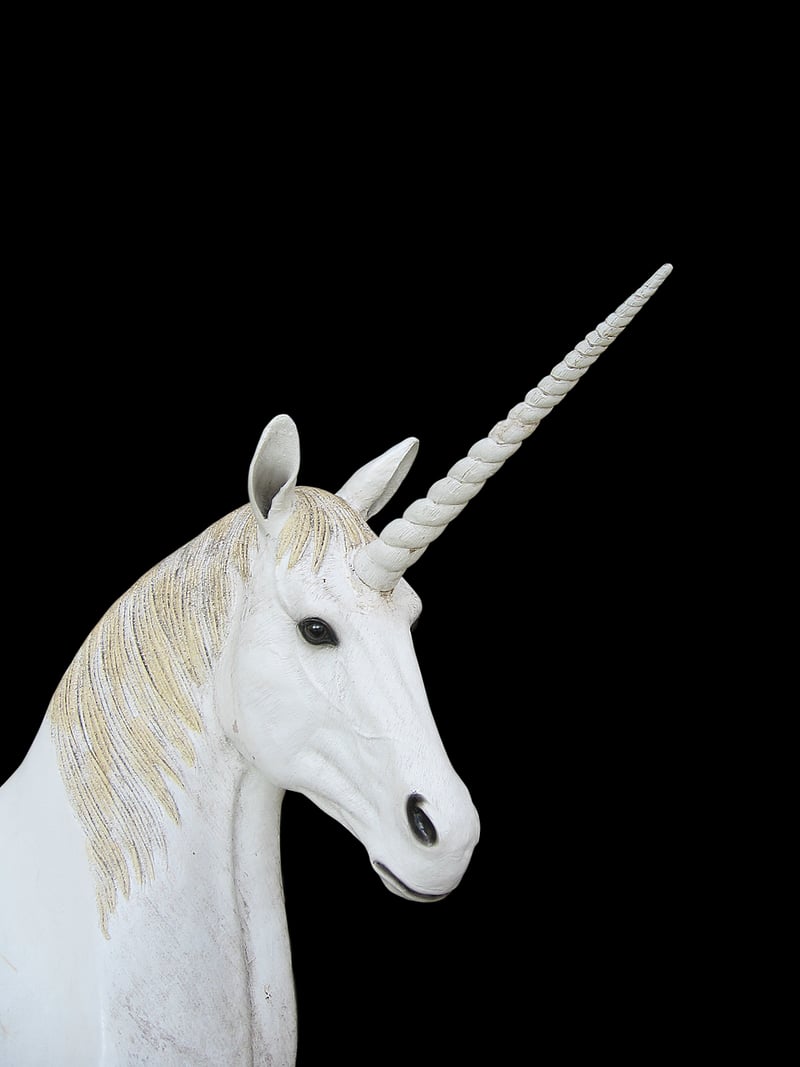 Unicorn-inspired